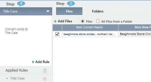 use easy file renamer for windows 11 to bulk change all filenames to title case